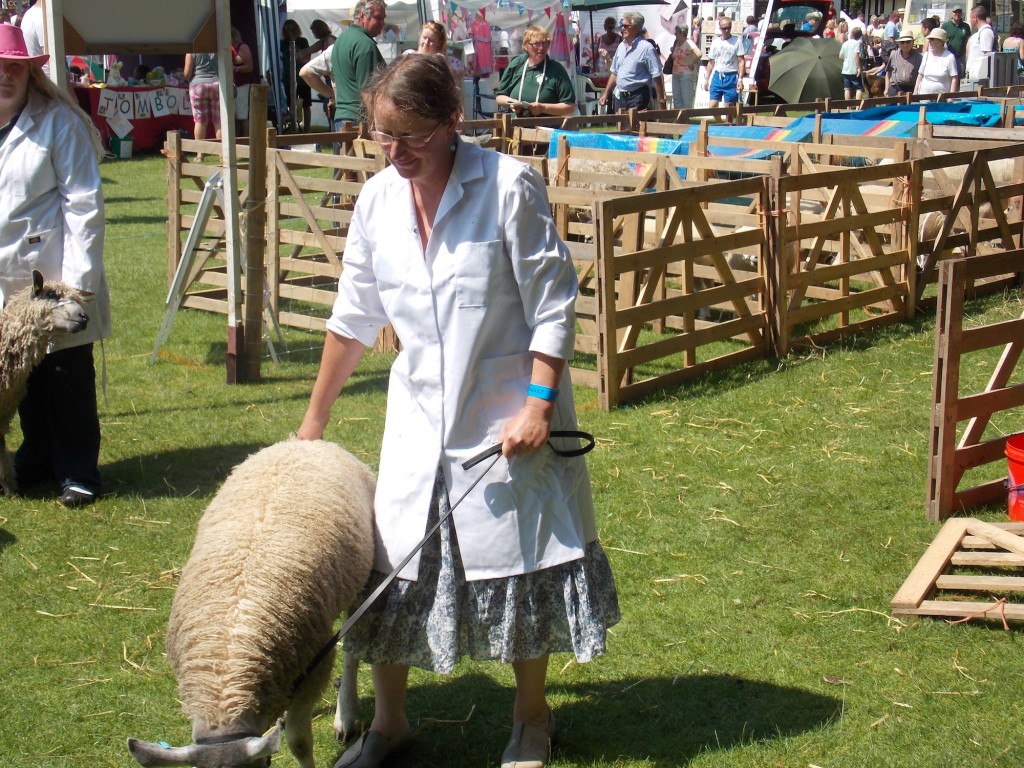 Howden Sheep Show 2013